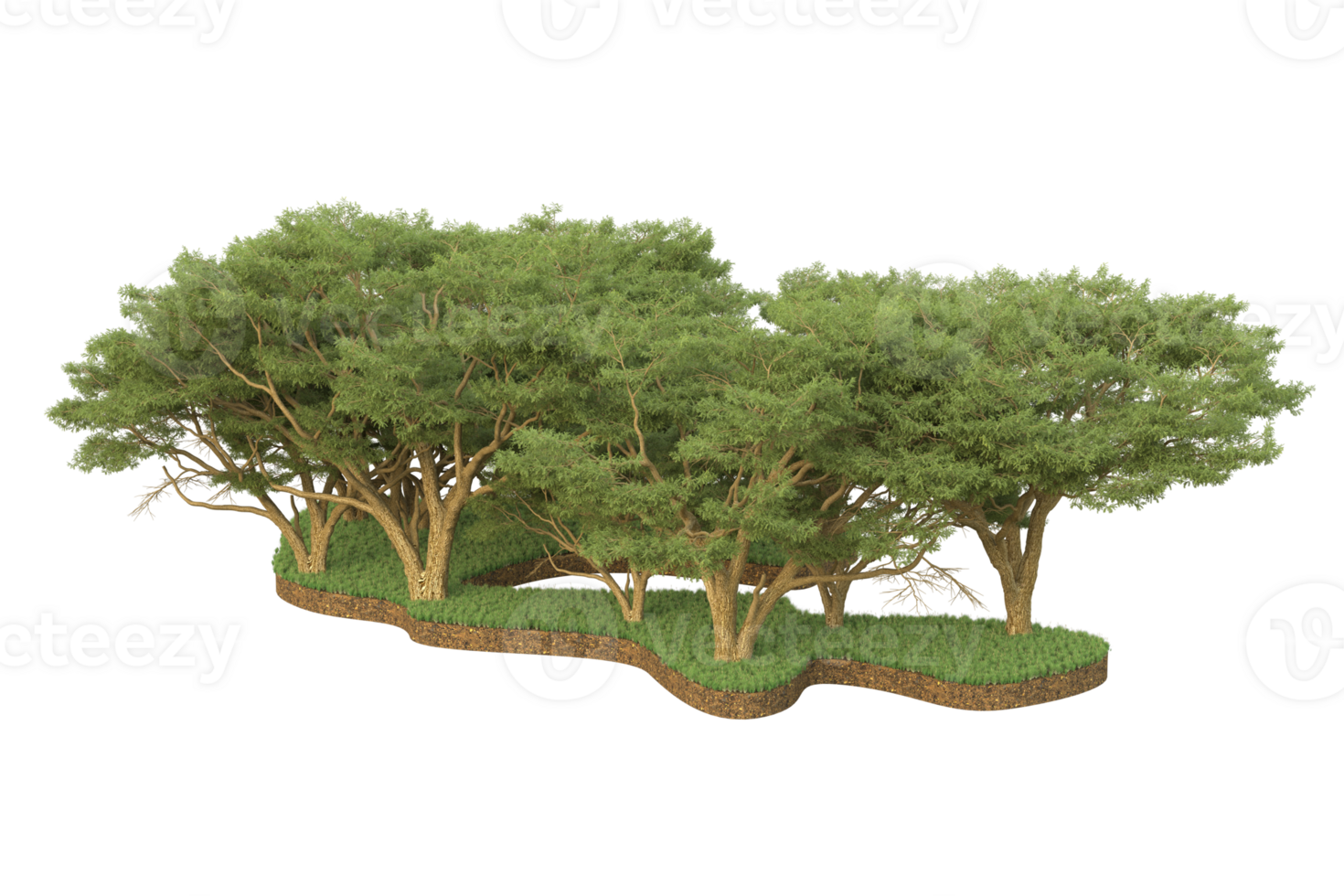 Realistic forest isolated on transparent background. 3d rendering - illustration png