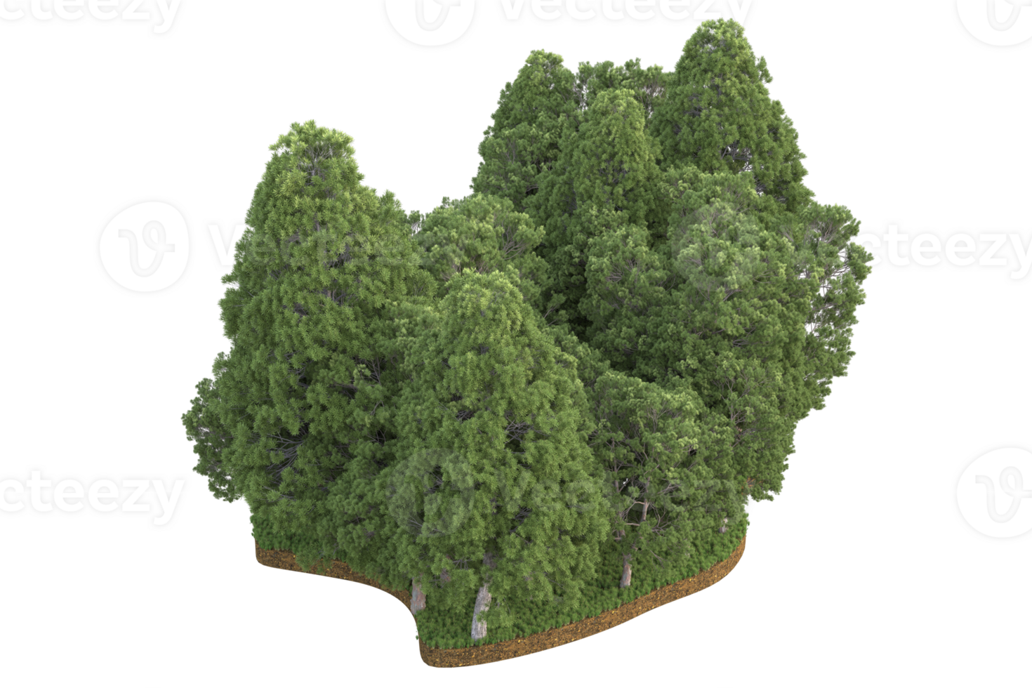 Realistic forest isolated on transparent background. 3d rendering - illustration png