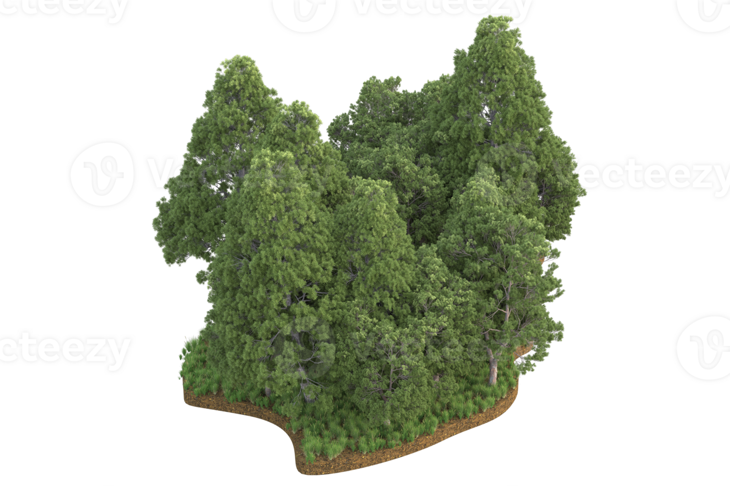 Realistic forest isolated on transparent background. 3d rendering - illustration png
