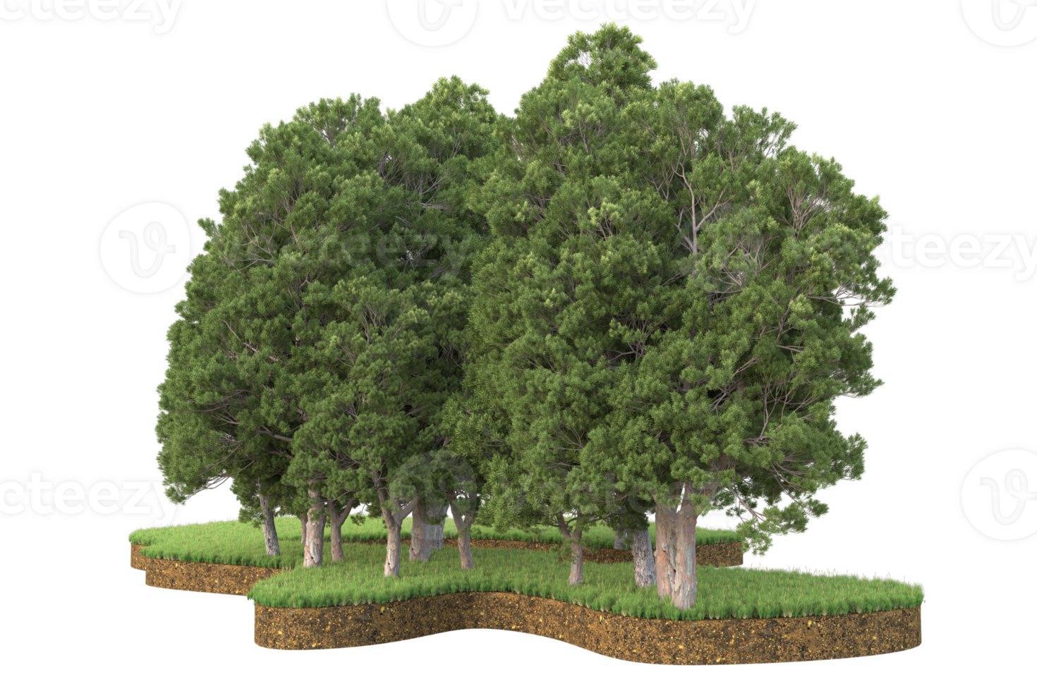 Realistic forest isolated on transparent background. 3d rendering - illustration png