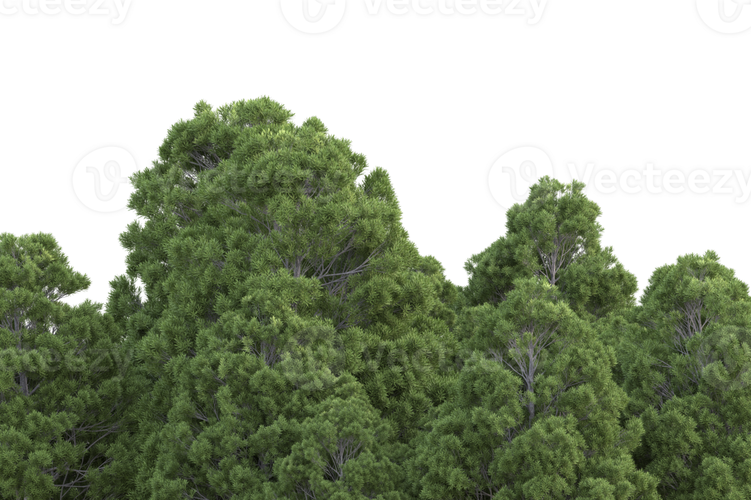 Realistic forest isolated on transparent background. 3d rendering - illustration png