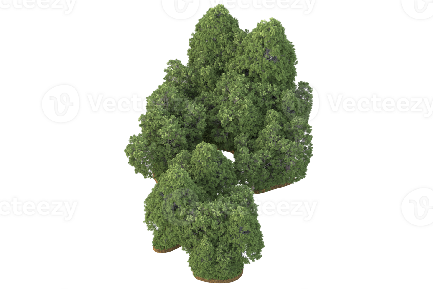 Realistic forest isolated on transparent background. 3d rendering - illustration png