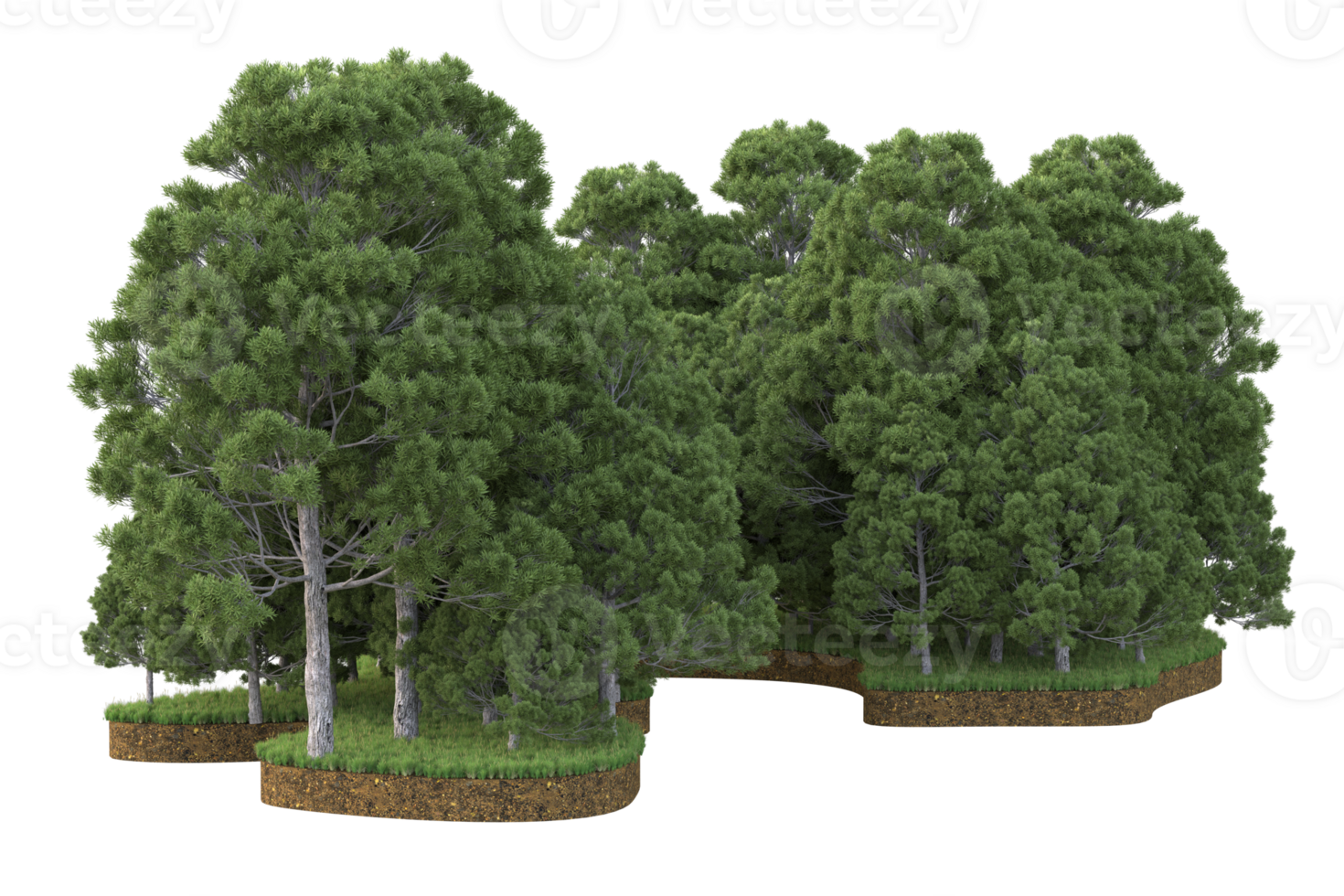 Realistic forest isolated on transparent background. 3d rendering - illustration png