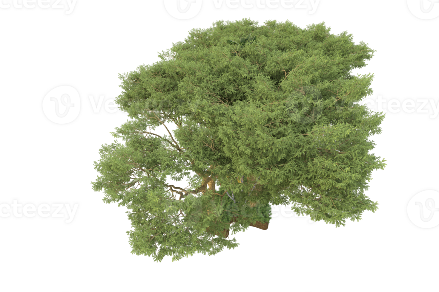 Realistic forest isolated on transparent background. 3d rendering - illustration png
