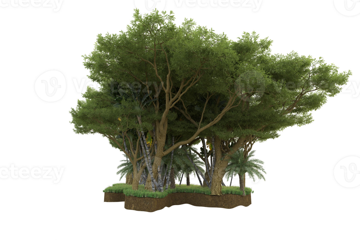 Realistic forest isolated on transparent background. 3d rendering - illustration png