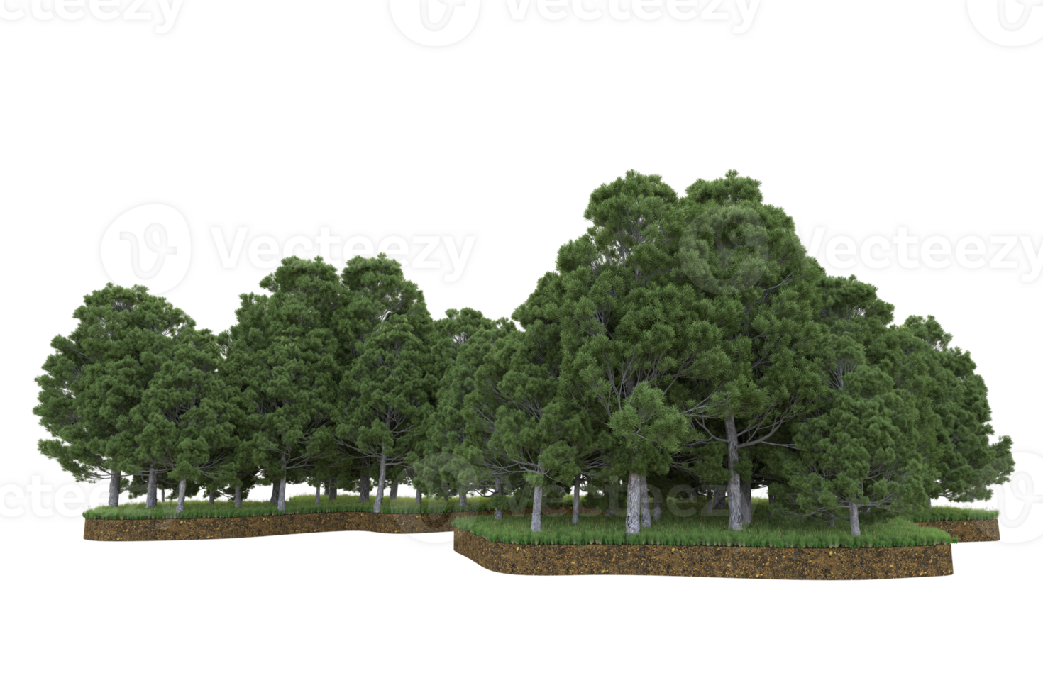 Realistic forest isolated on transparent background. 3d rendering - illustration png