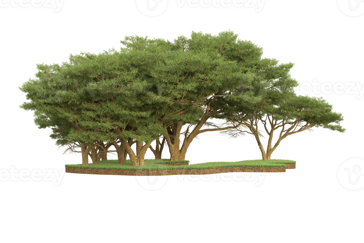 Realistic forest isolated on transparent background. 3d rendering - illustration png
