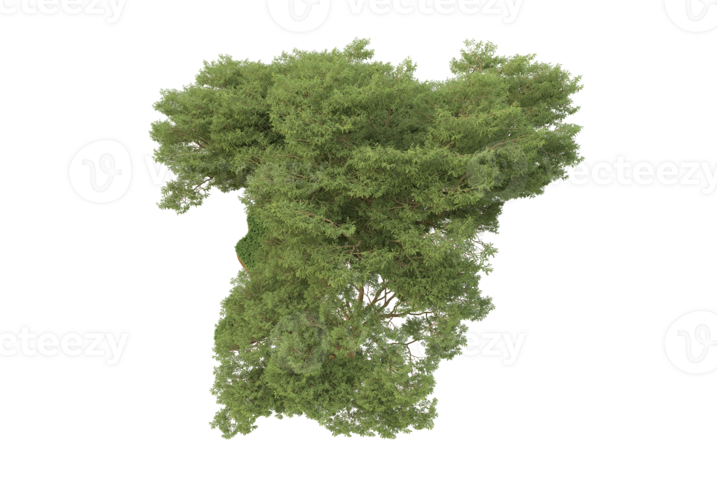 Realistic forest isolated on transparent background. 3d rendering - illustration png