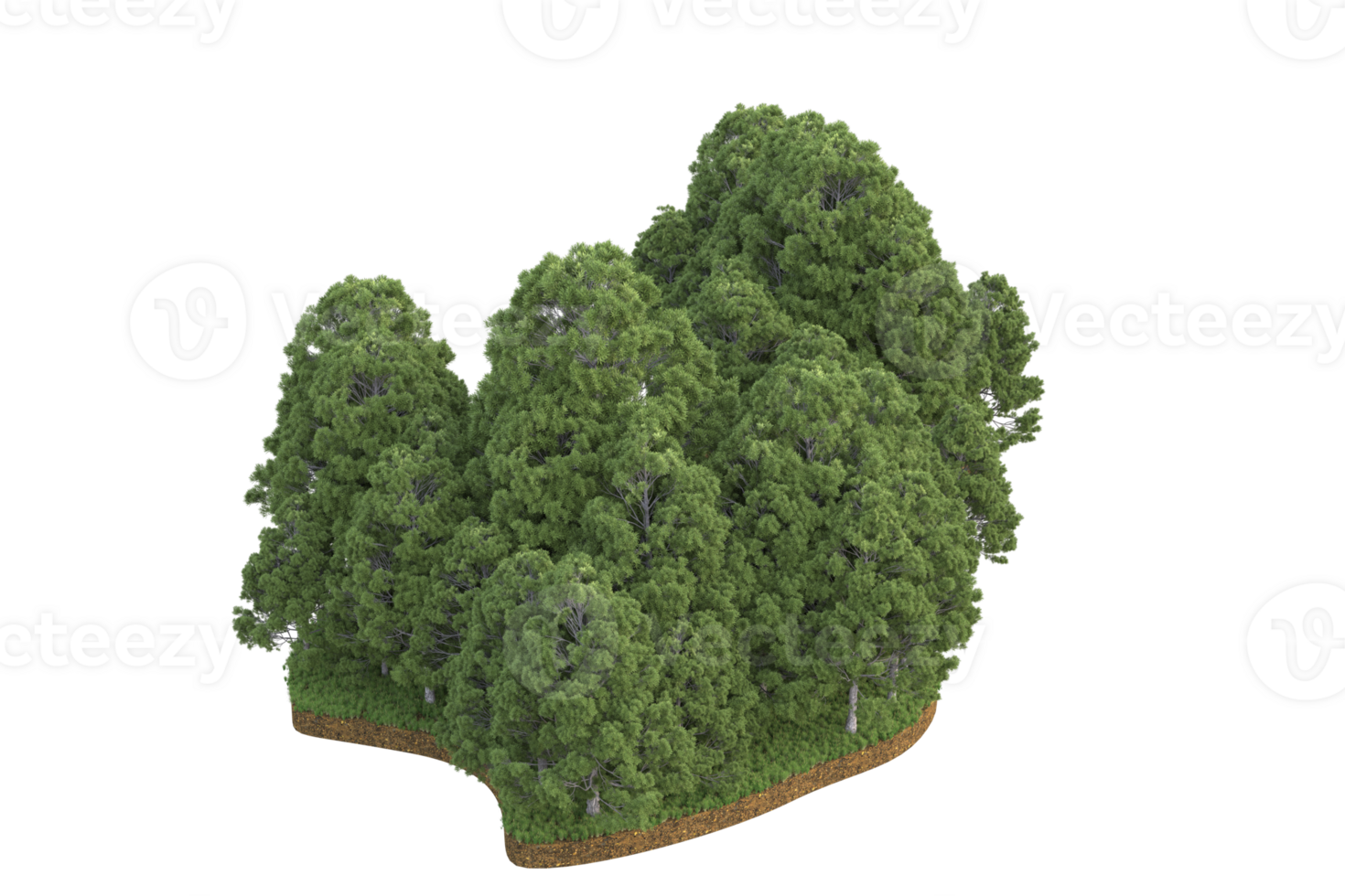 Realistic forest isolated on transparent background. 3d rendering - illustration png