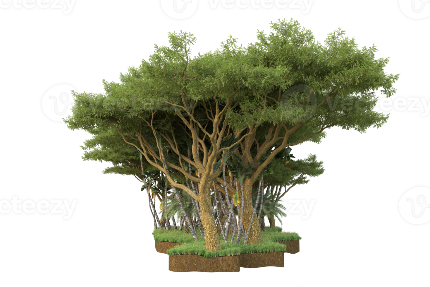 Realistic forest isolated on transparent background. 3d rendering - illustration png