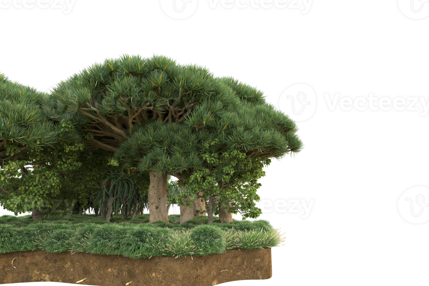 Realistic forest isolated on transparent background. 3d rendering - illustration png