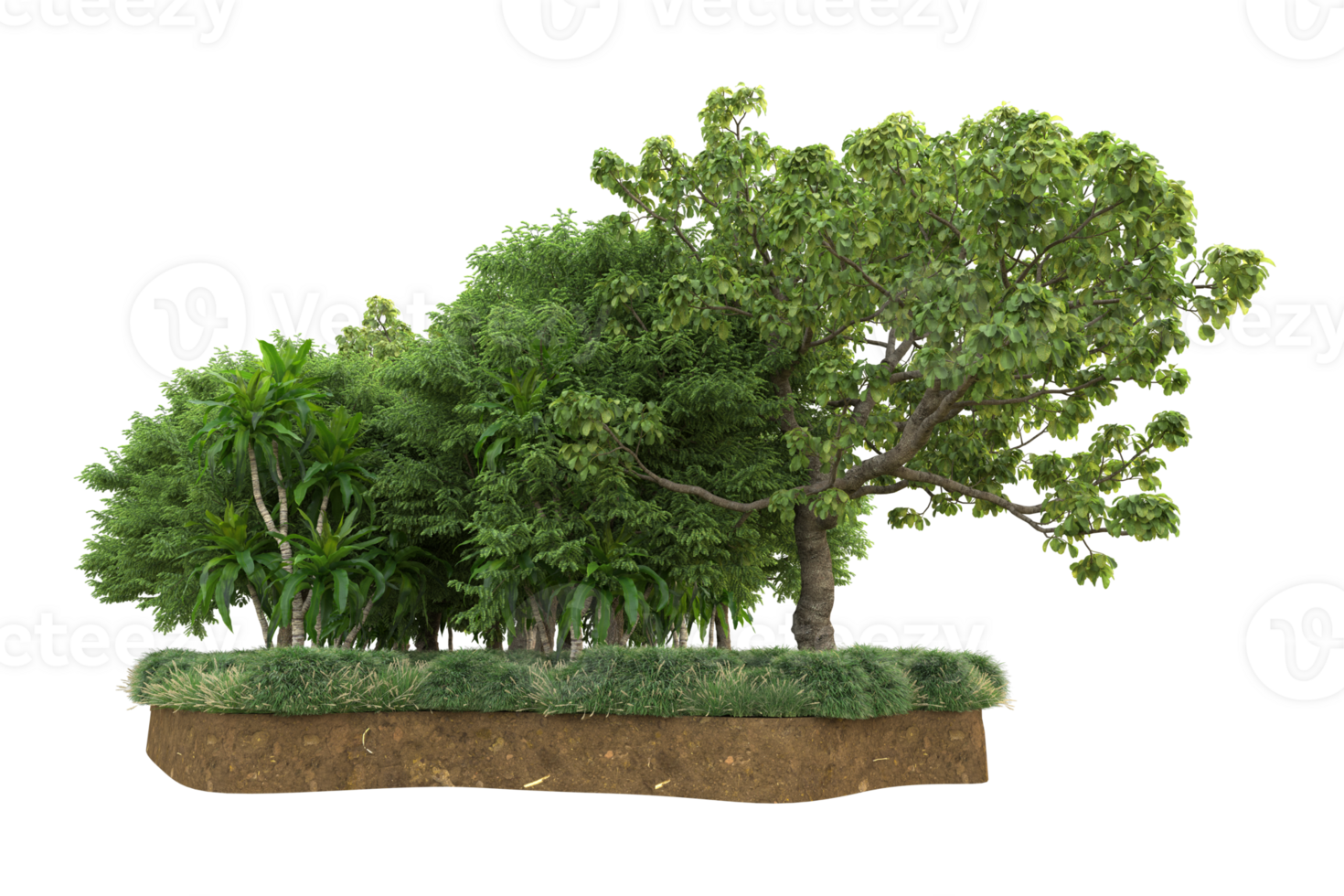 Realistic forest isolated on transparent background. 3d rendering - illustration png