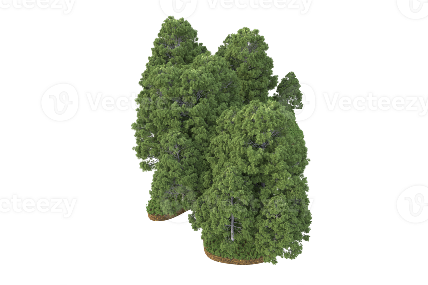 Realistic forest isolated on transparent background. 3d rendering - illustration png