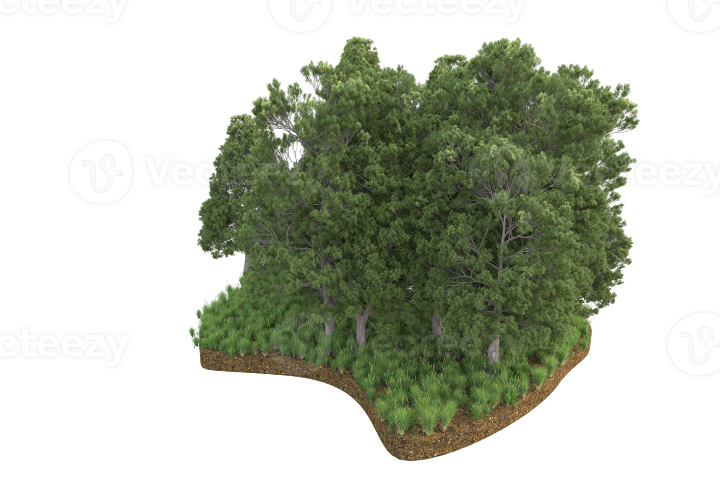 Realistic forest isolated on transparent background. 3d rendering - illustration png