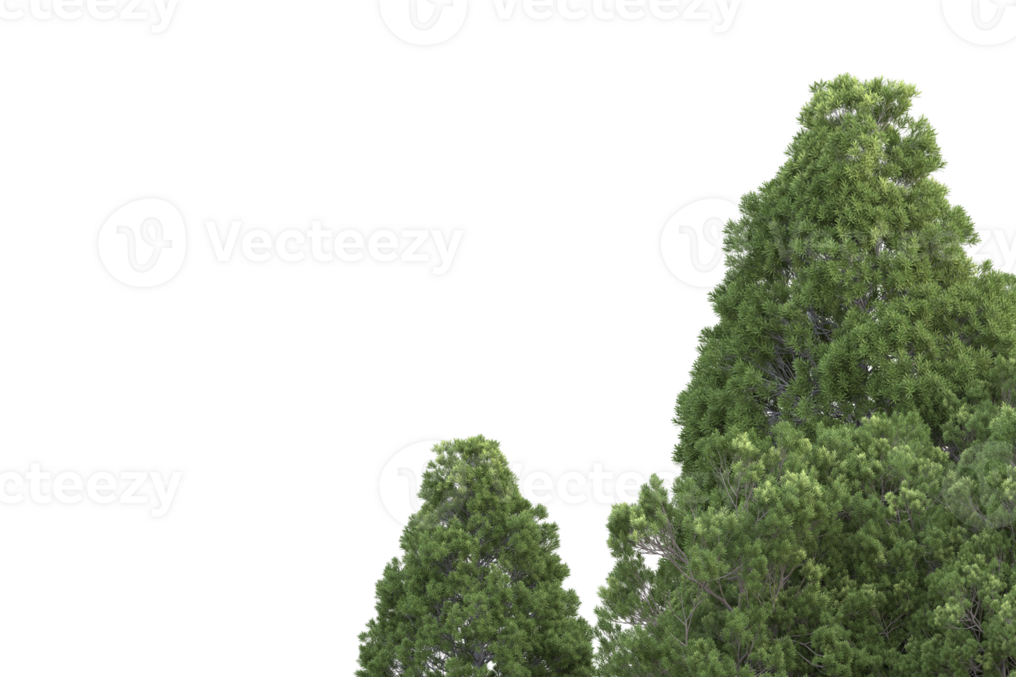 Realistic forest isolated on transparent background. 3d rendering - illustration png