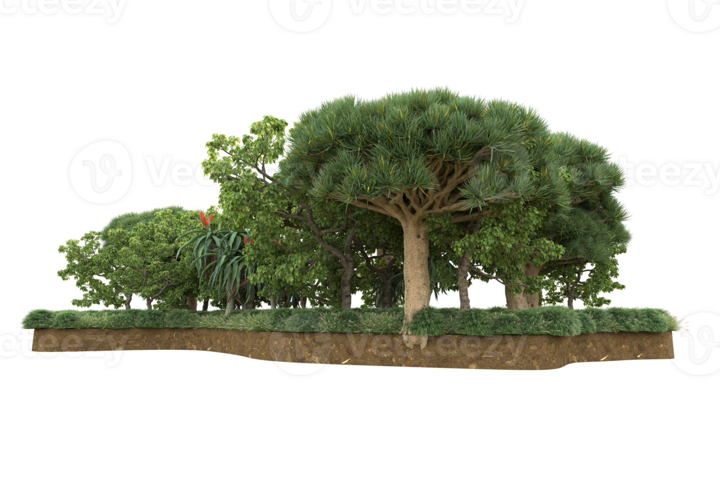 realistico foresta isolato su trasparente sfondo. 3d interpretazione - illustrazione png