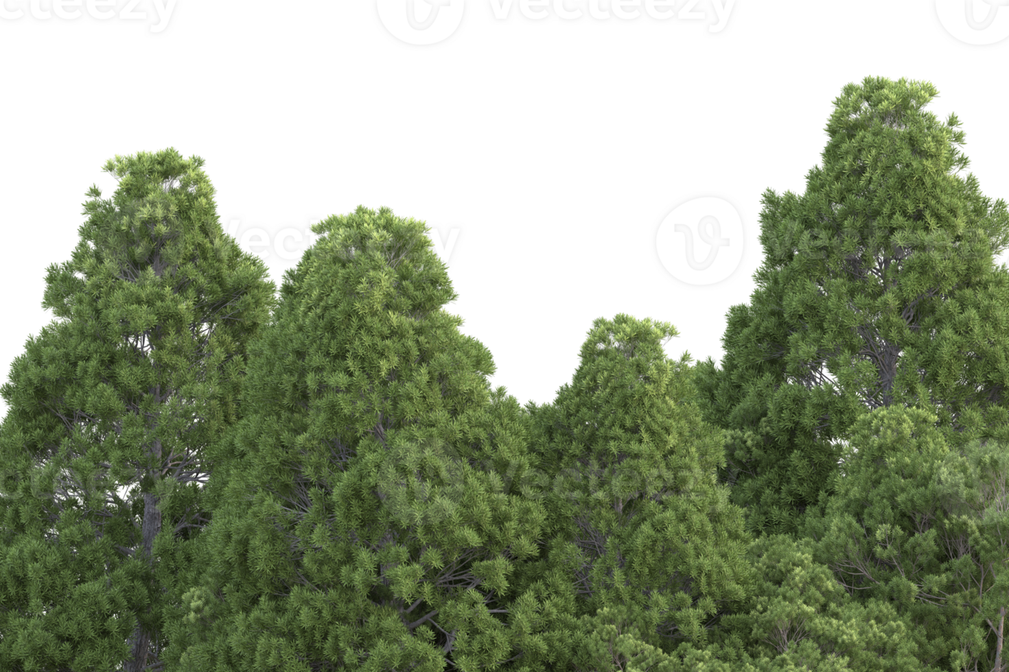 Realistic forest isolated on transparent background. 3d rendering - illustration png
