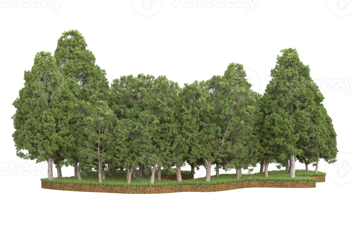 Realistic forest isolated on transparent background. 3d rendering - illustration png