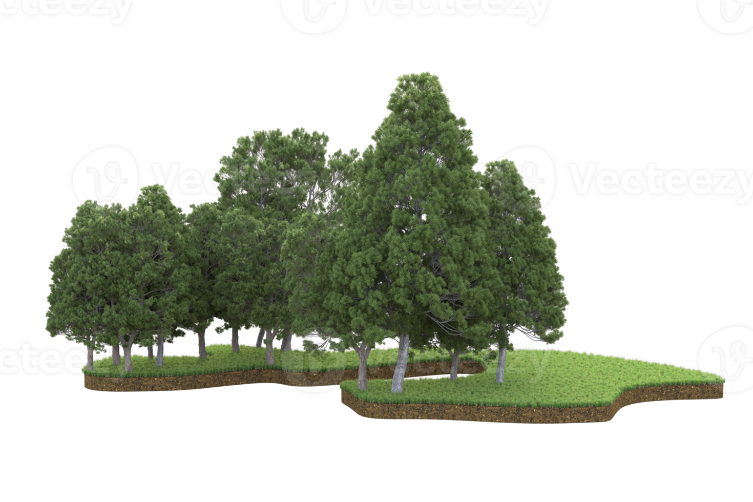 Realistic forest isolated on transparent background. 3d rendering - illustration png