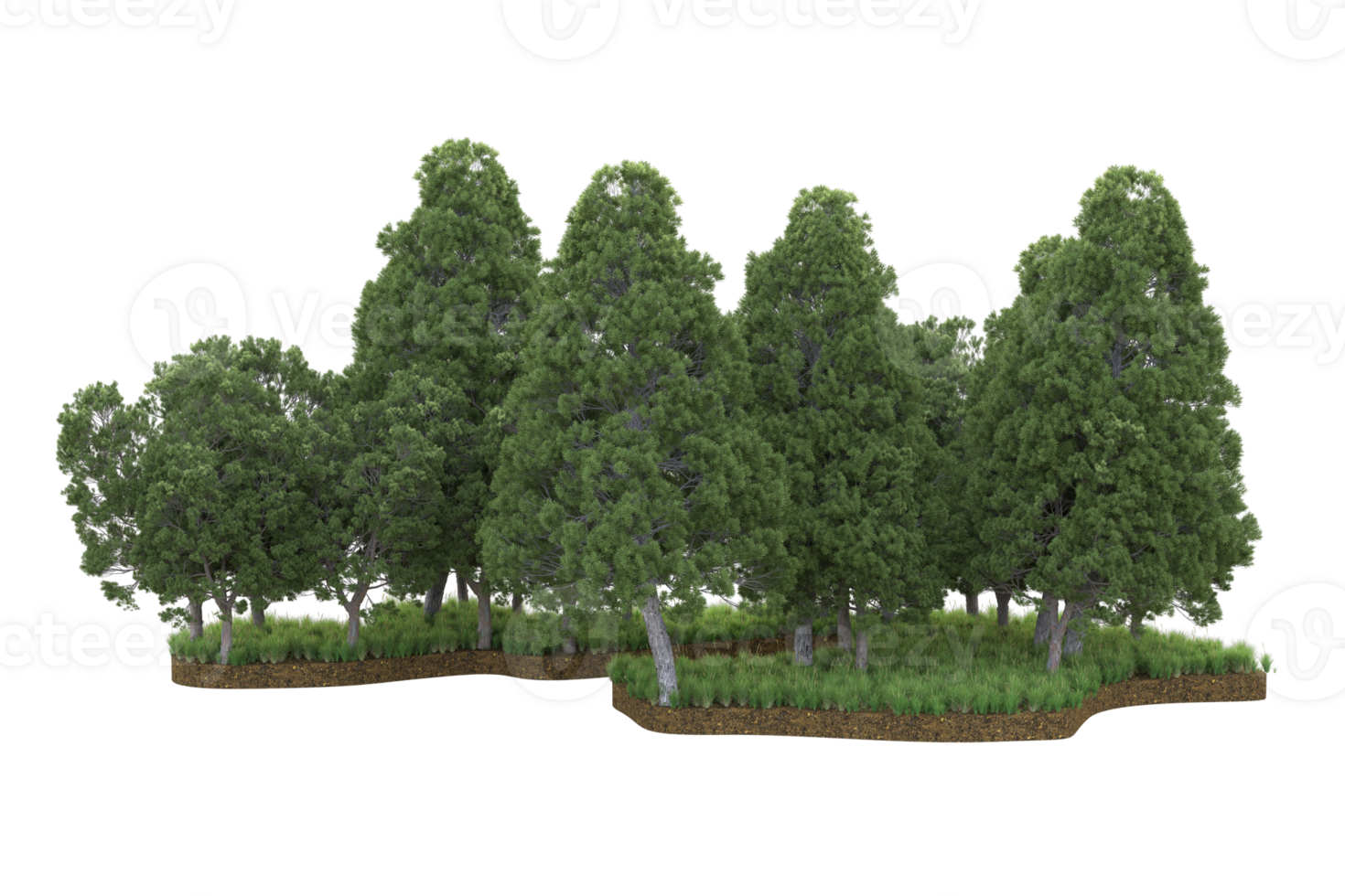 Realistic forest isolated on transparent background. 3d rendering - illustration png