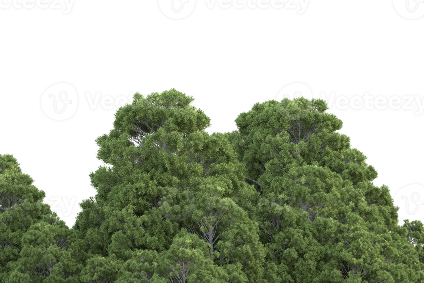 Realistic forest isolated on transparent background. 3d rendering - illustration png