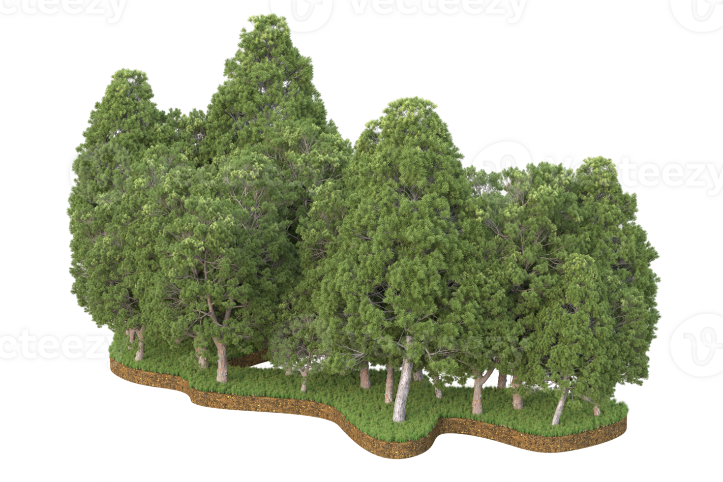 Realistic forest isolated on transparent background. 3d rendering - illustration png