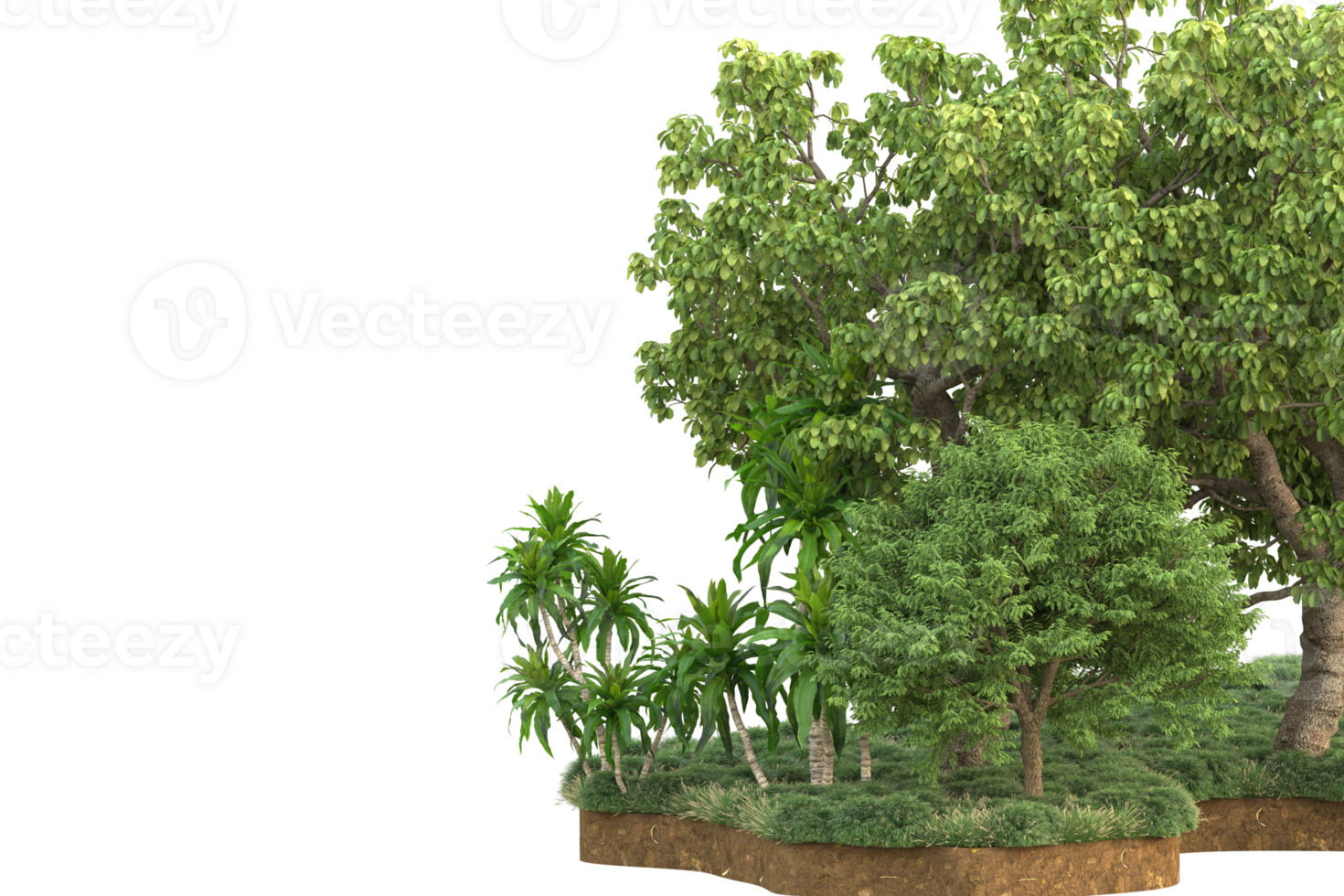 Realistic forest isolated on transparent background. 3d rendering - illustration png