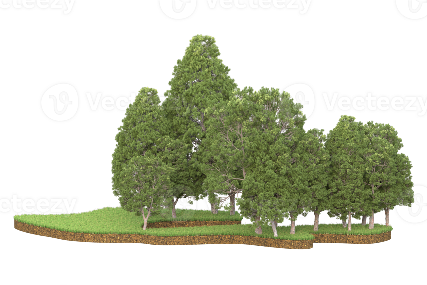 Realistic forest isolated on transparent background. 3d rendering - illustration png