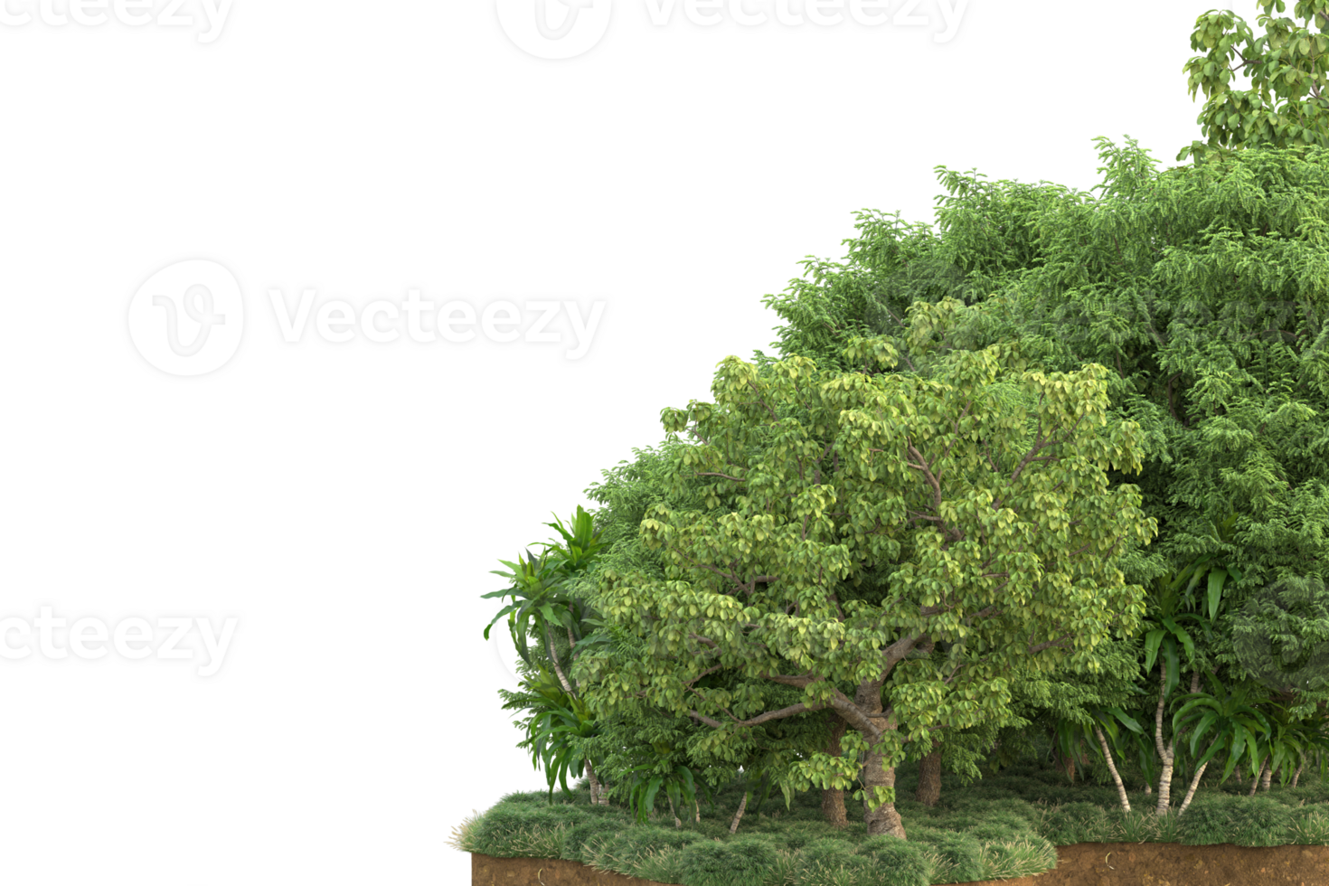 Realistic forest isolated on transparent background. 3d rendering - illustration png