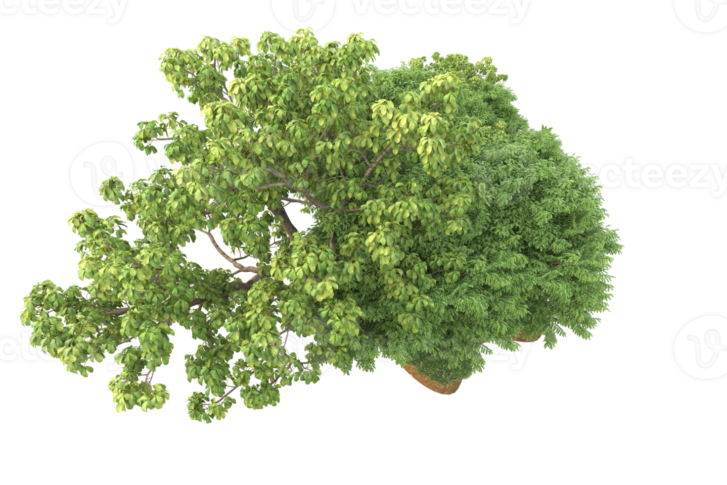 Realistic forest isolated on transparent background. 3d rendering - illustration png