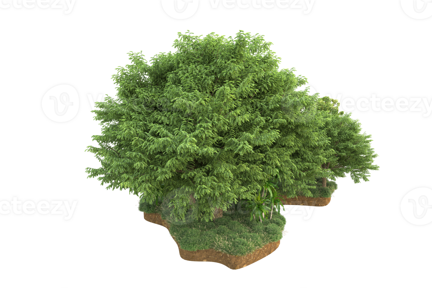 Realistic forest isolated on transparent background. 3d rendering - illustration png
