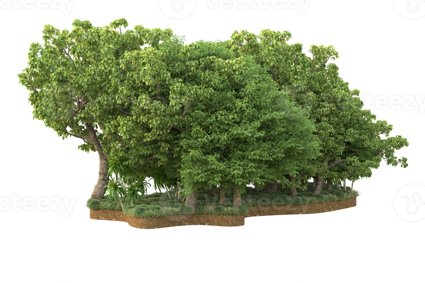 Realistic forest isolated on transparent background. 3d rendering - illustration png