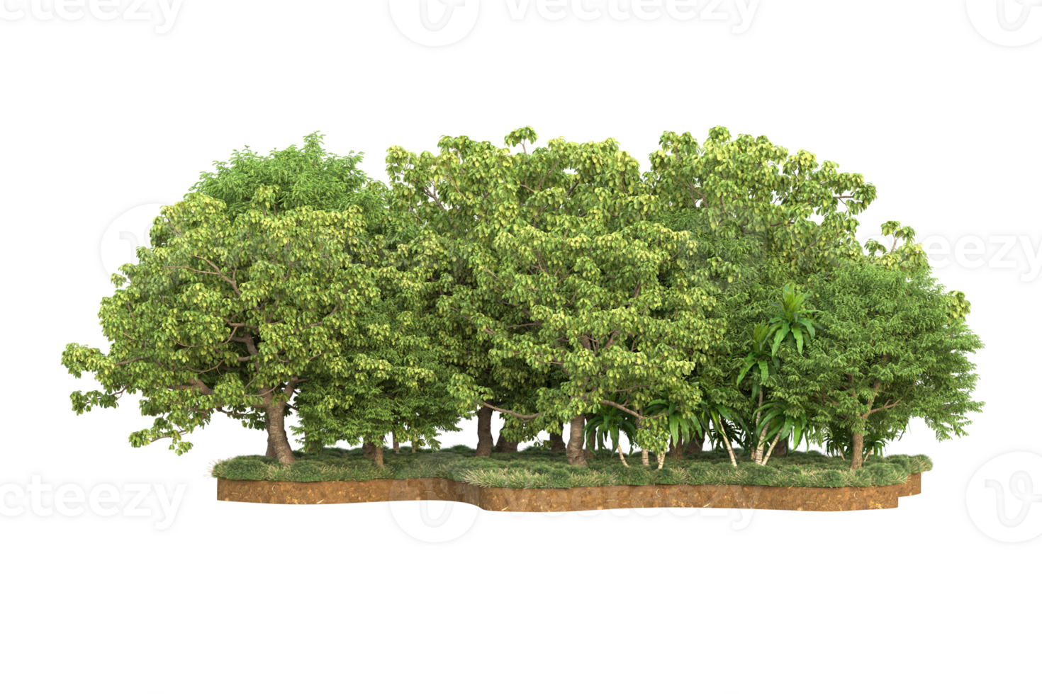 Realistic forest isolated on transparent background. 3d rendering - illustration png