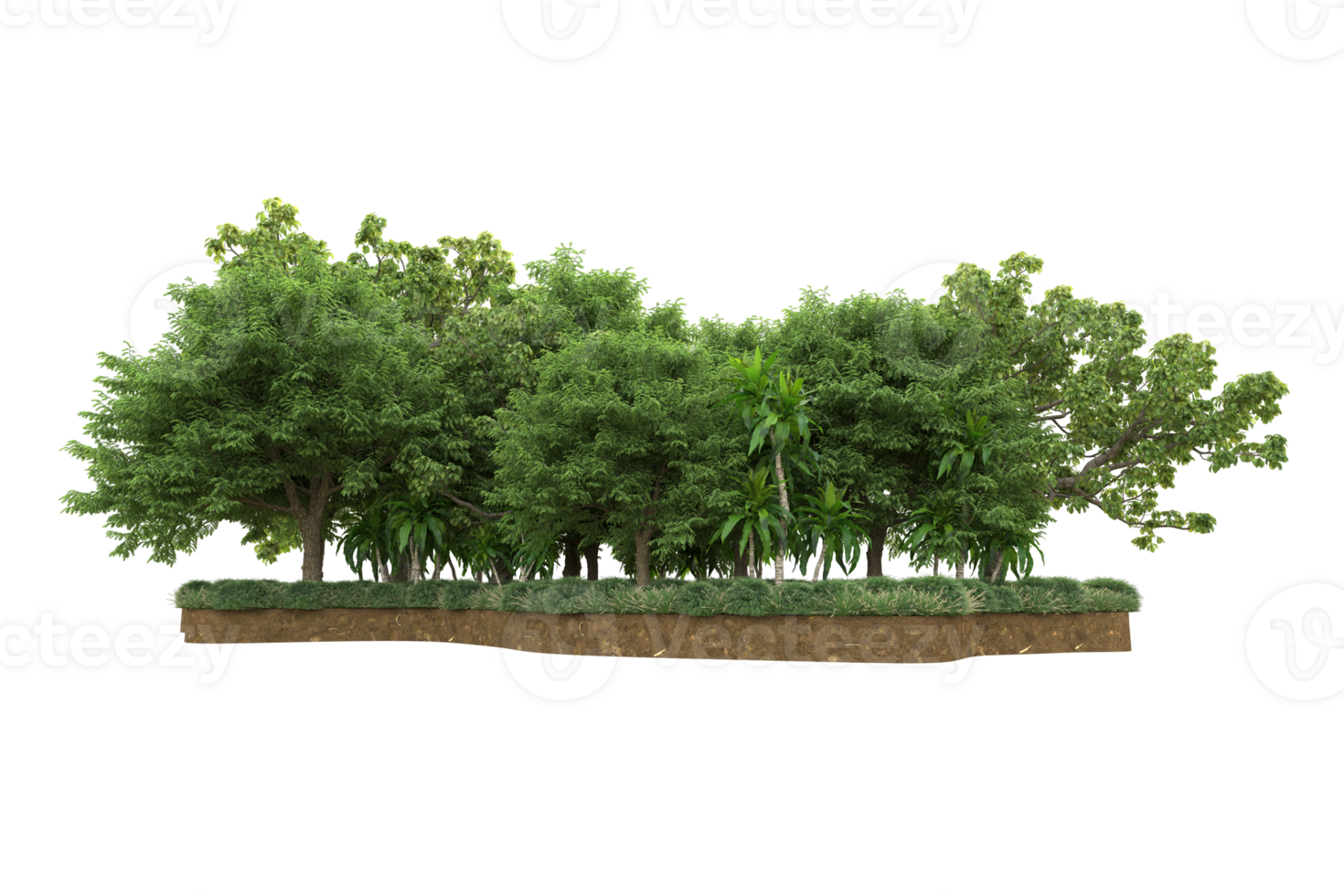 Realistic forest isolated on transparent background. 3d rendering - illustration png