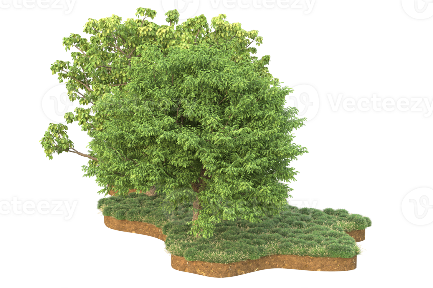 Realistic forest isolated on transparent background. 3d rendering - illustration png