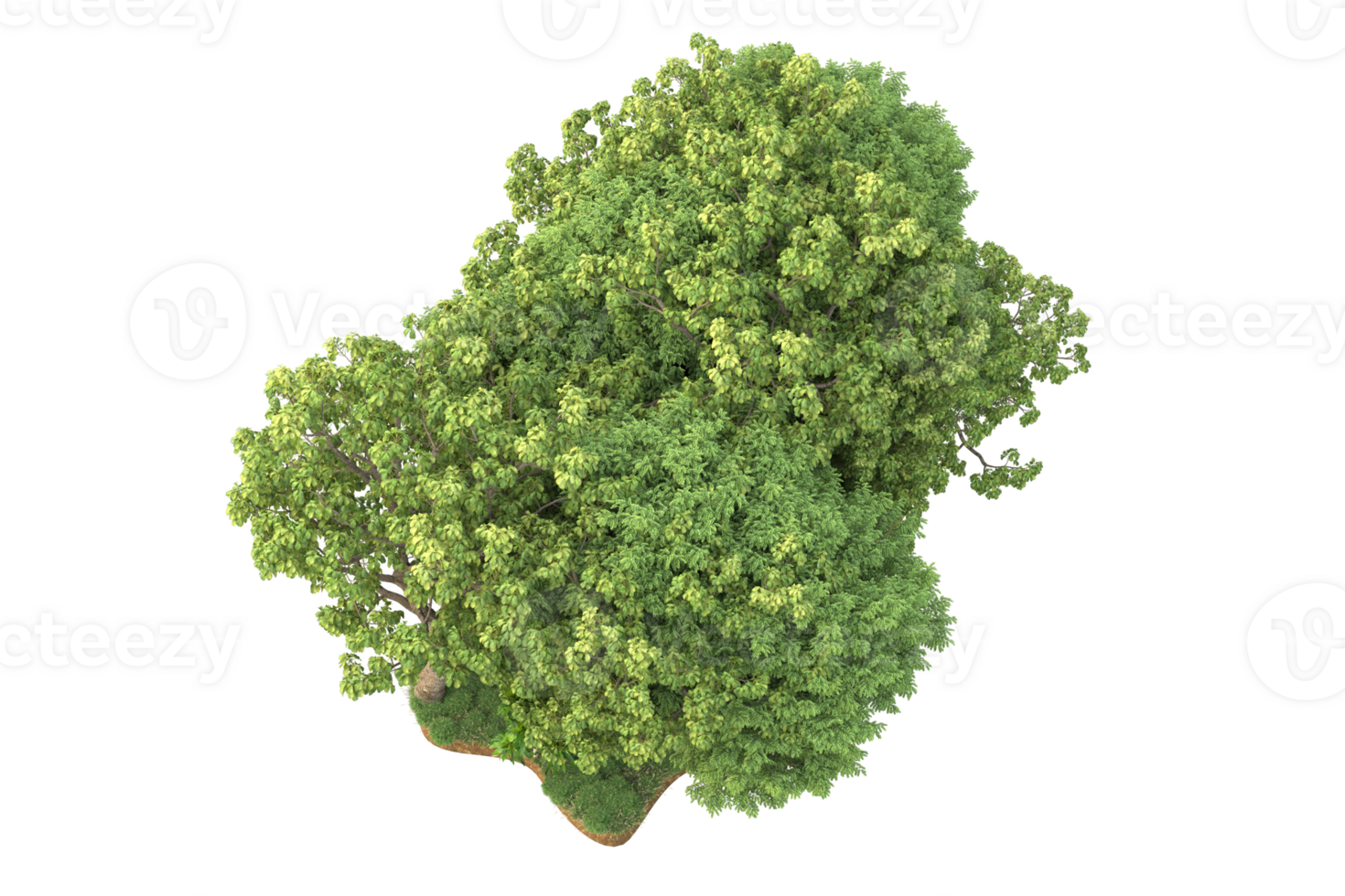 Realistic forest isolated on transparent background. 3d rendering - illustration png