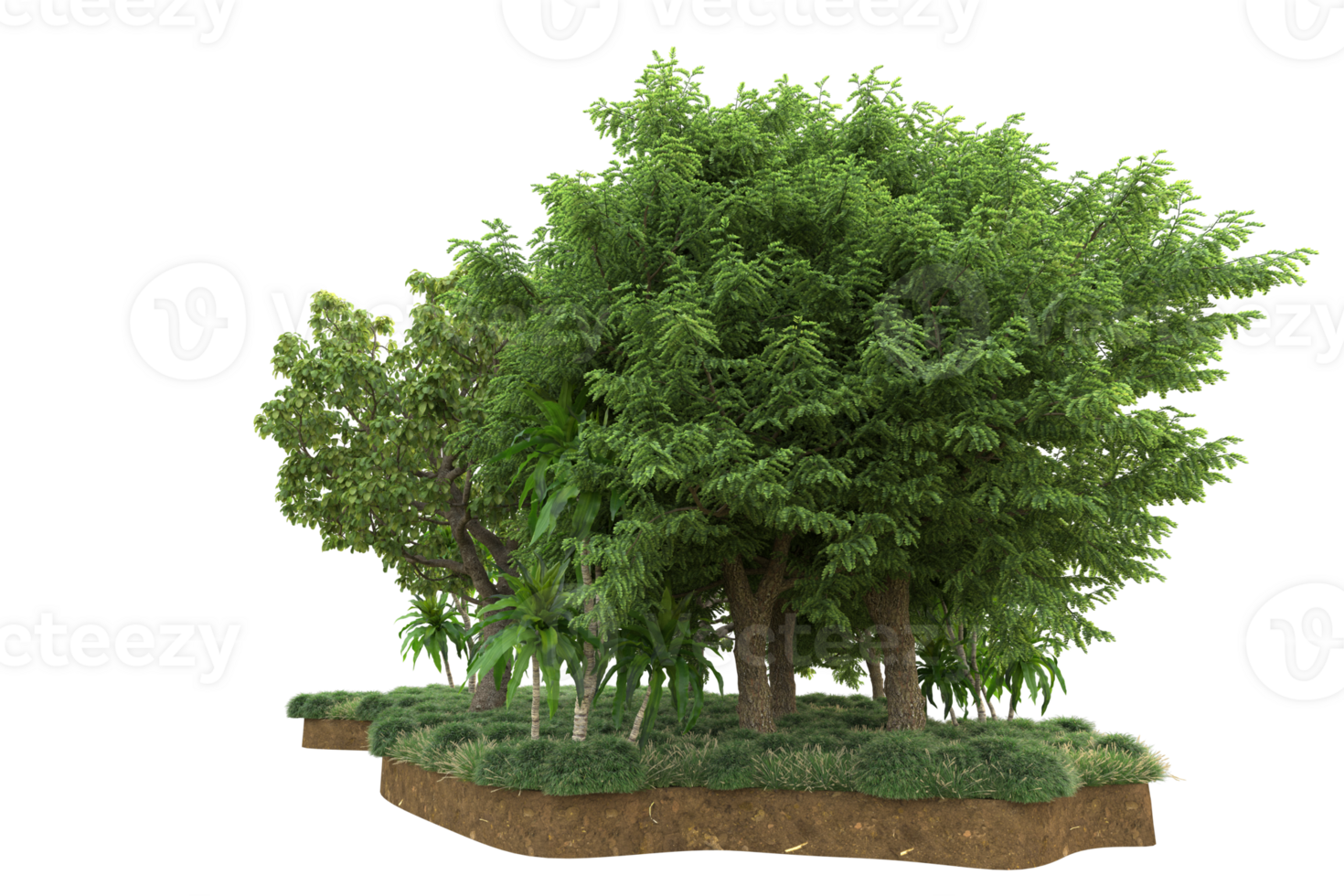 Realistic forest isolated on transparent background. 3d rendering - illustration png
