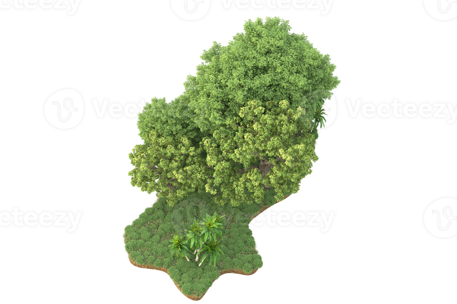 Realistic forest isolated on transparent background. 3d rendering - illustration png