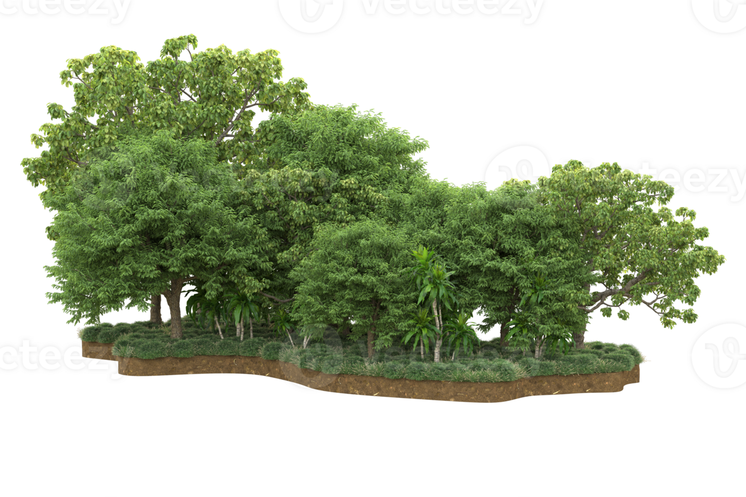 Realistic forest isolated on transparent background. 3d rendering - illustration png