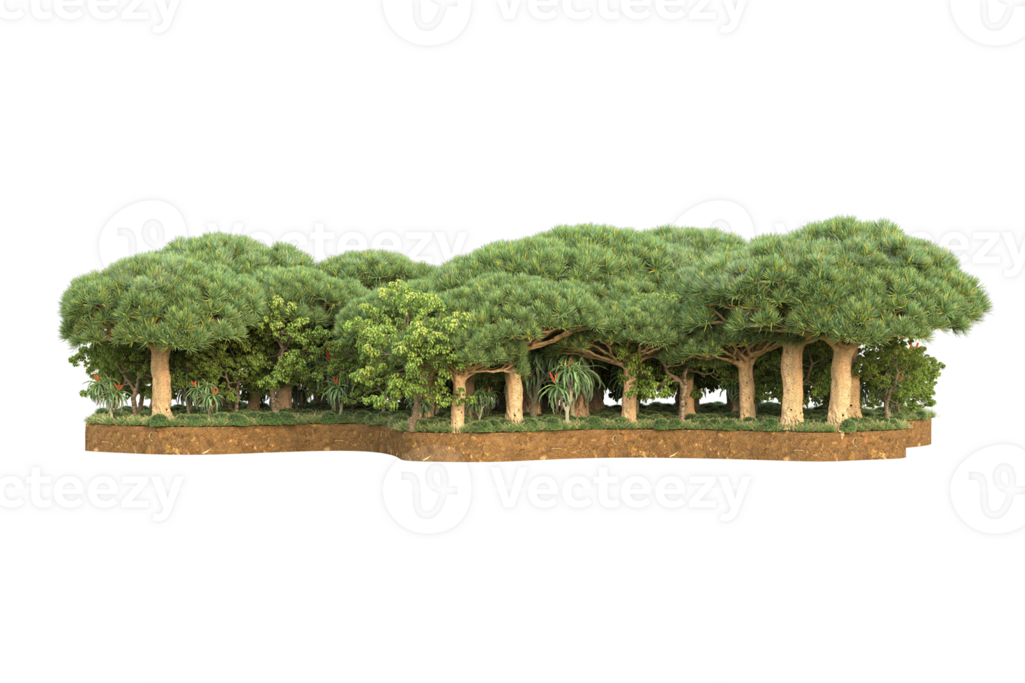 Realistic forest isolated on transparent background. 3d rendering - illustration png