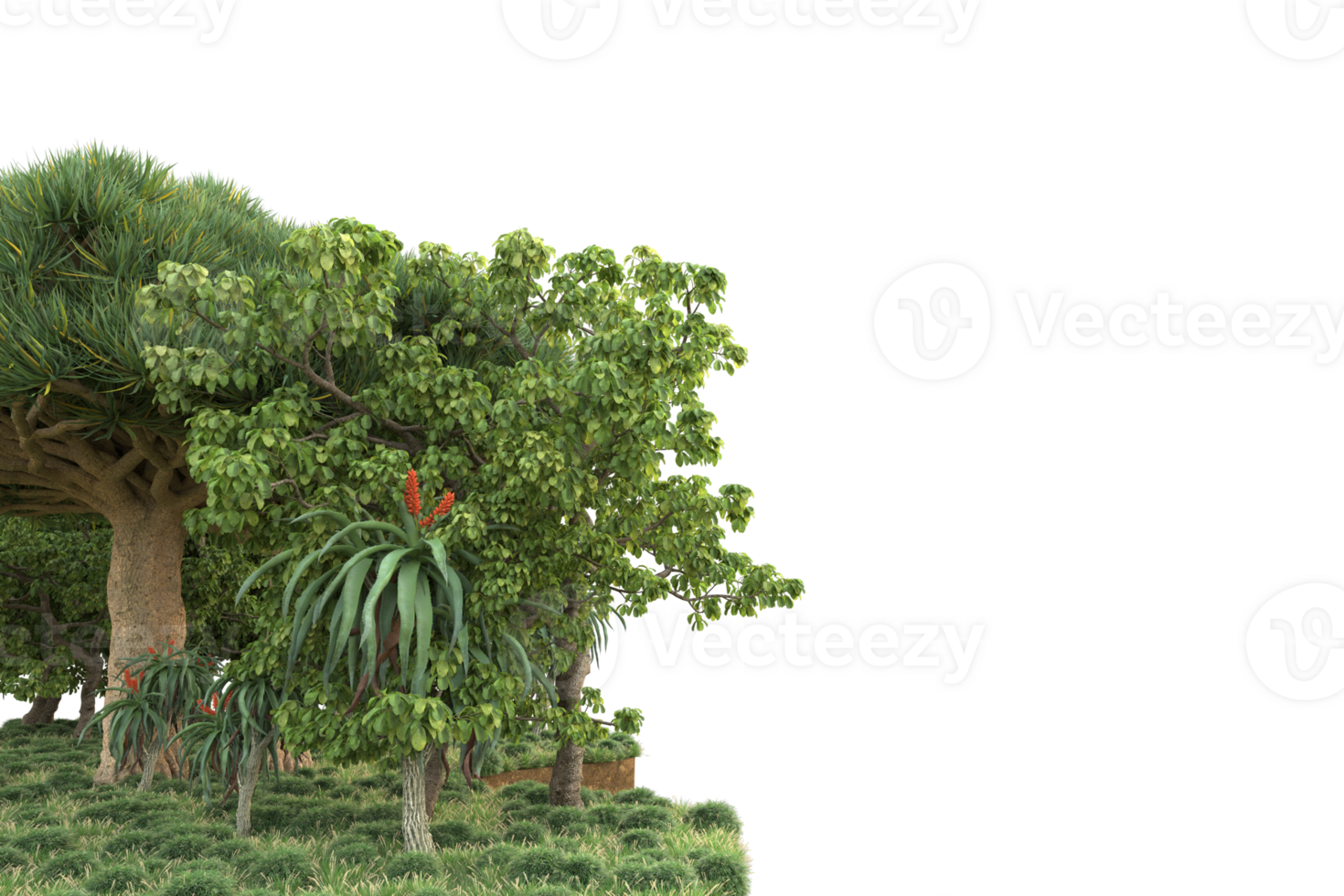 Realistic forest isolated on transparent background. 3d rendering - illustration png