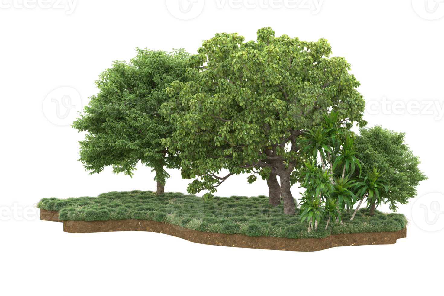 Realistic forest isolated on transparent background. 3d rendering - illustration png