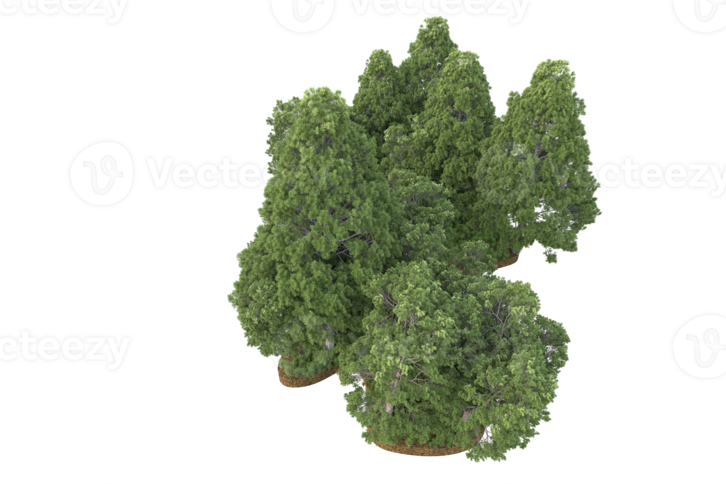 Realistic forest isolated on transparent background. 3d rendering - illustration png