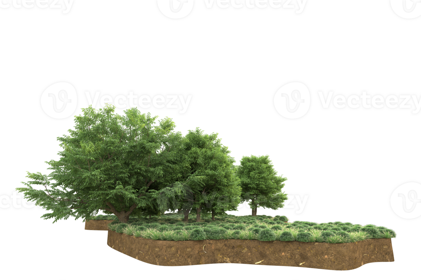 Realistic forest isolated on transparent background. 3d rendering - illustration png