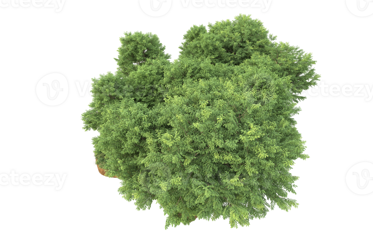 Realistic forest isolated on transparent background. 3d rendering - illustration png
