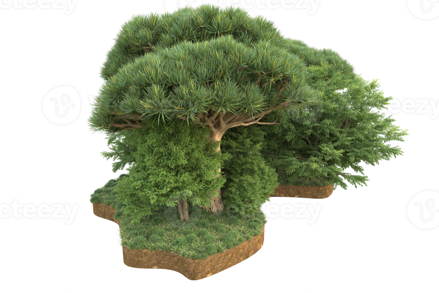 Realistic forest isolated on transparent background. 3d rendering - illustration png
