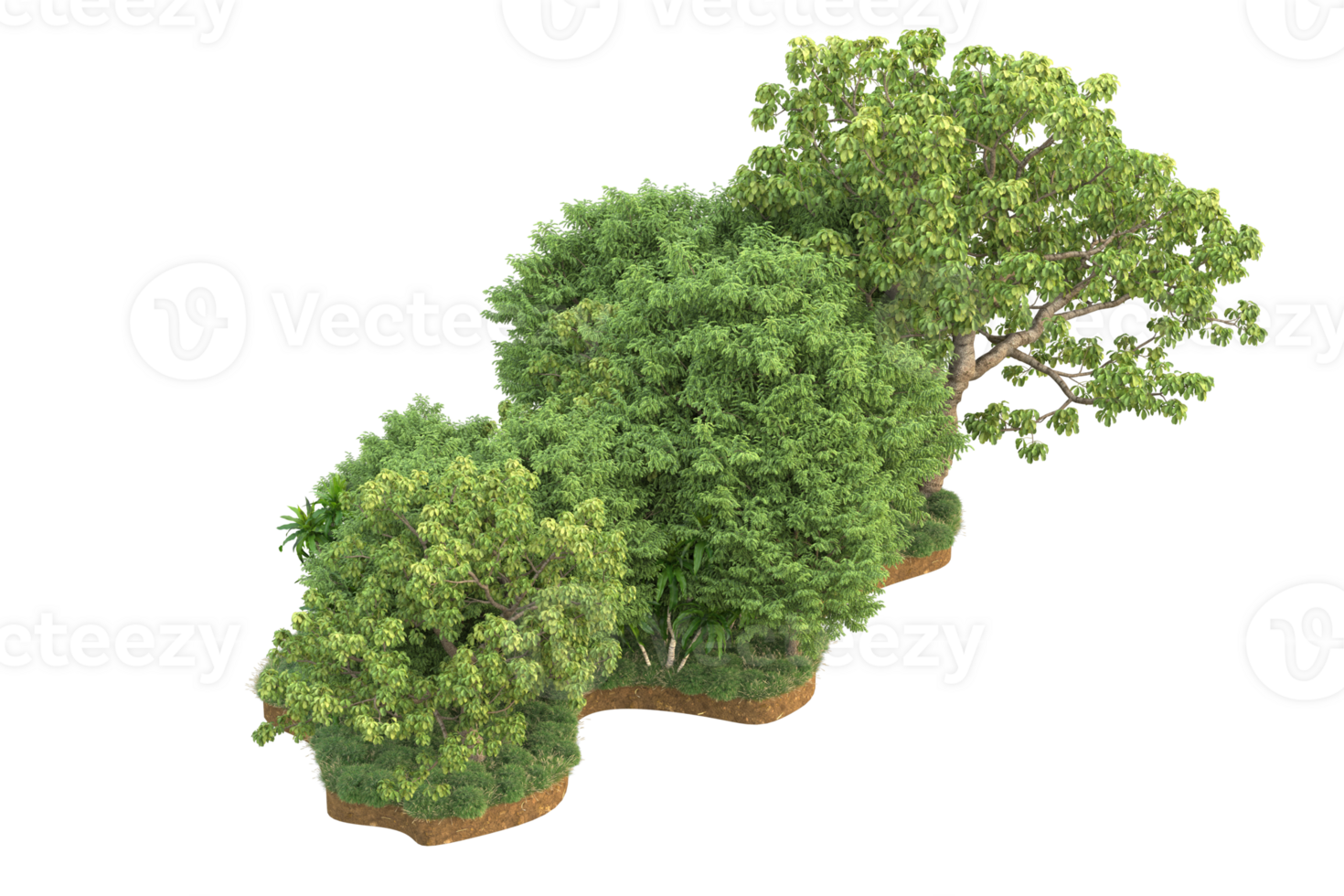 Realistic forest isolated on transparent background. 3d rendering - illustration png
