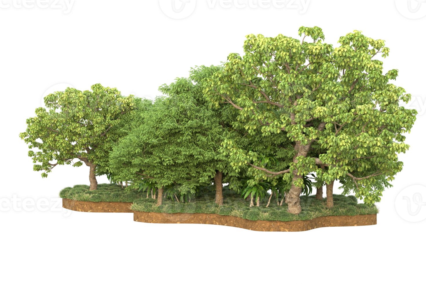 Realistic forest isolated on transparent background. 3d rendering - illustration png