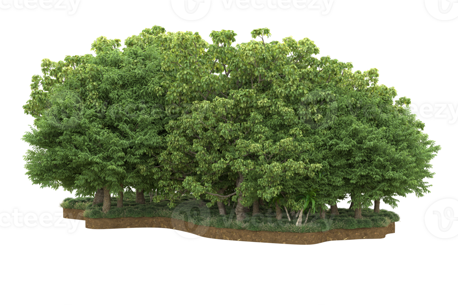Realistic forest isolated on transparent background. 3d rendering - illustration png