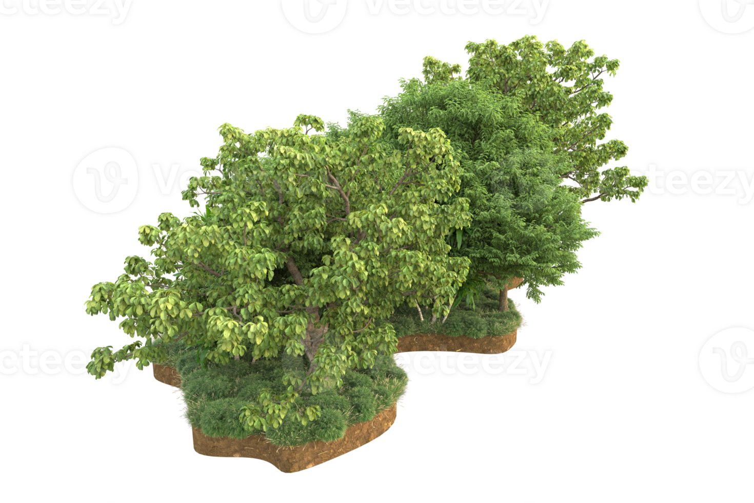 Realistic forest isolated on transparent background. 3d rendering - illustration png